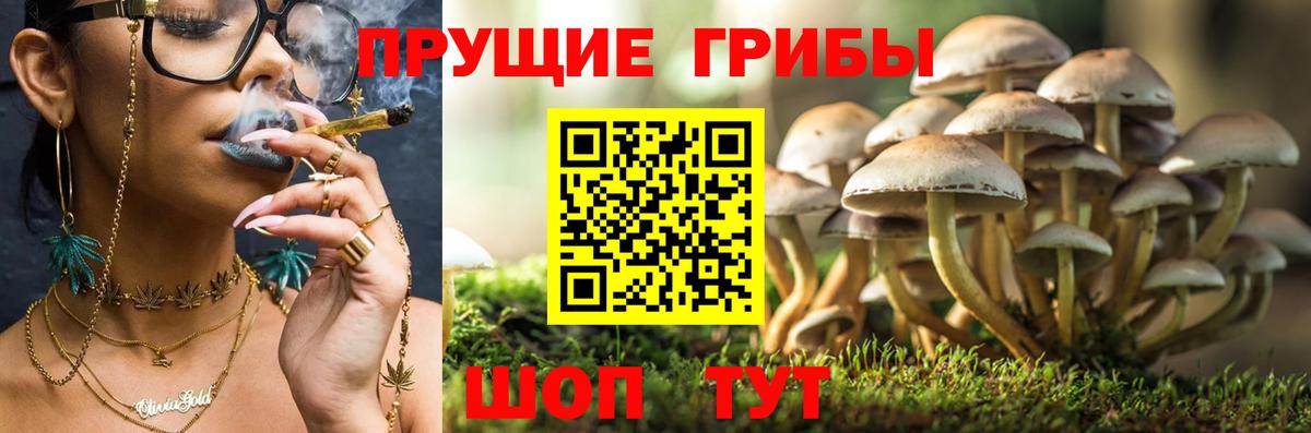 Псилоцибиновые грибы Psilocybine cubensis  Вход с VPN  даркнет сайт  Галлюциногенные грибы ЛСД  Нягань 
